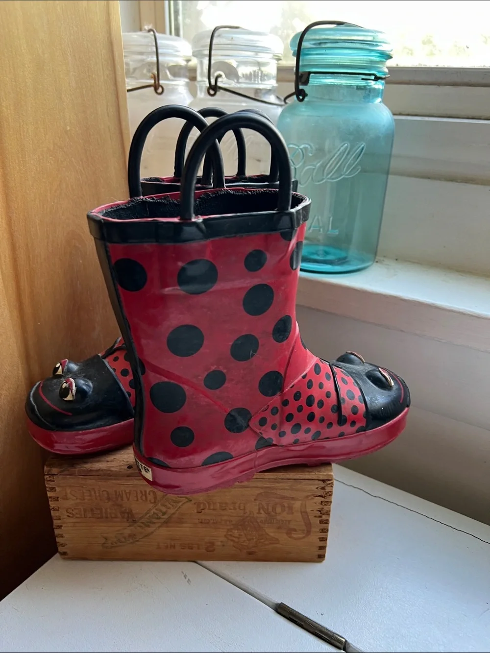 Western Chief Red and Black Ladybug Kids Rain Boots girls size 10/11